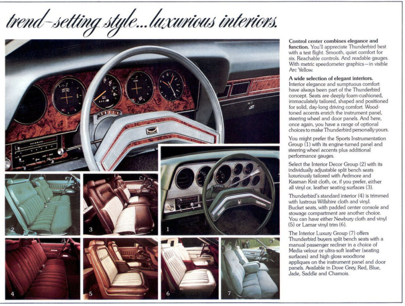 n_1977 Ford Thunderbird Mailer-08.jpg